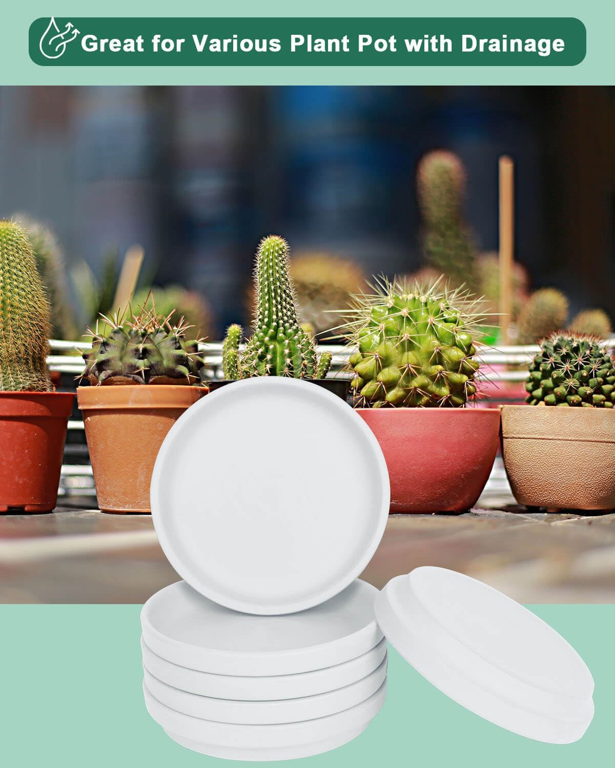 vensovo 4 Inch White Terracotta Plant Saucer Pots Tray - 6 Pcs Round Planter Saucers for Indoor & Outdoor Plants, Small Clay Trays Perfect for 3 Inch 3.5 Inch 4 Inch Flower Pot
