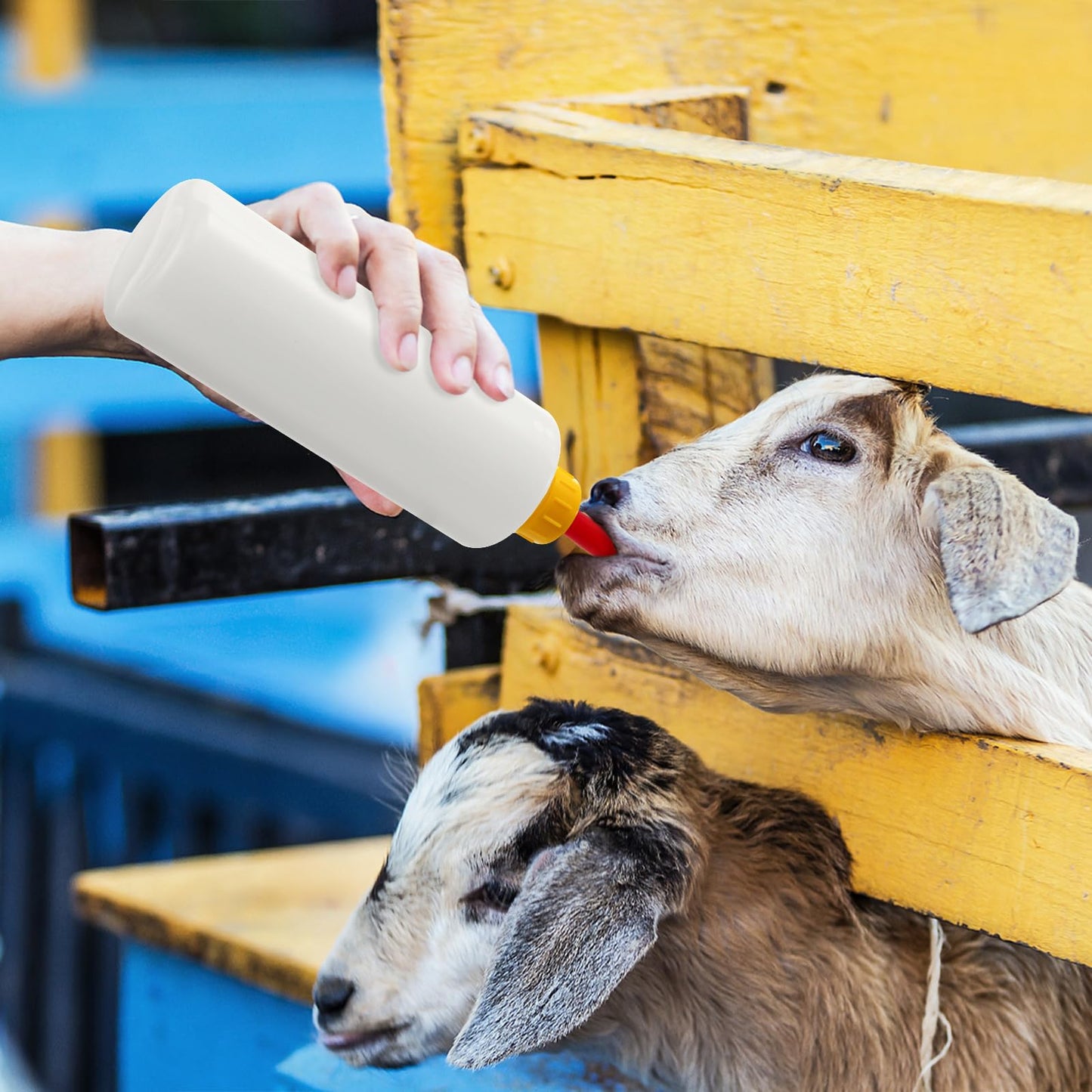 Okllen 10 Sets 400ml Lamb Feeding Bottle with 20 Nipples, Plastic Goat Milk Feeder for Goats, Lambs, Small Animal Pet Drink Bottle, Reusable Silicone Nipple for Farm Livestock Feeding