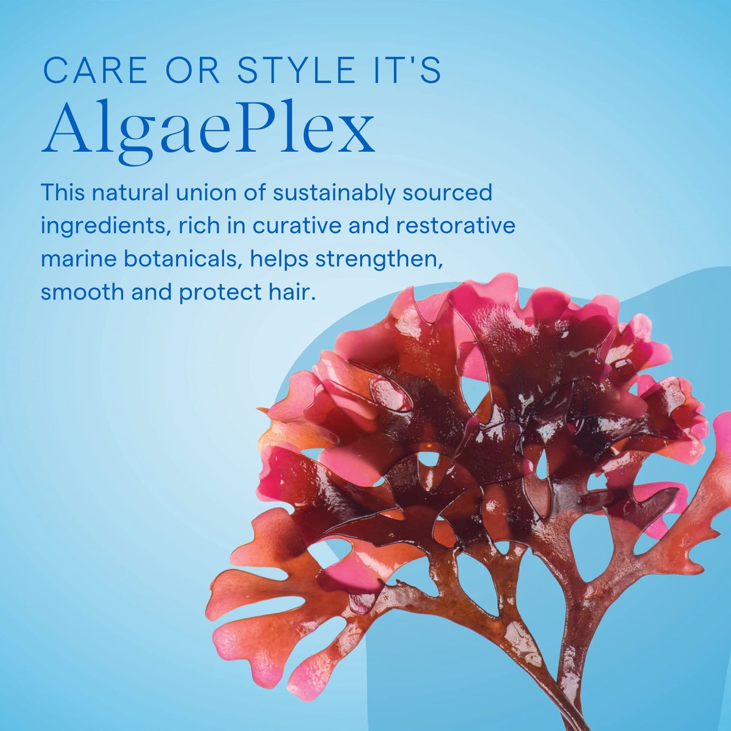 AQUAGE Violet Brightening Shampoo, Neutralizes Yellow or Brassy Tones on Color Treated Hair, 8 oz