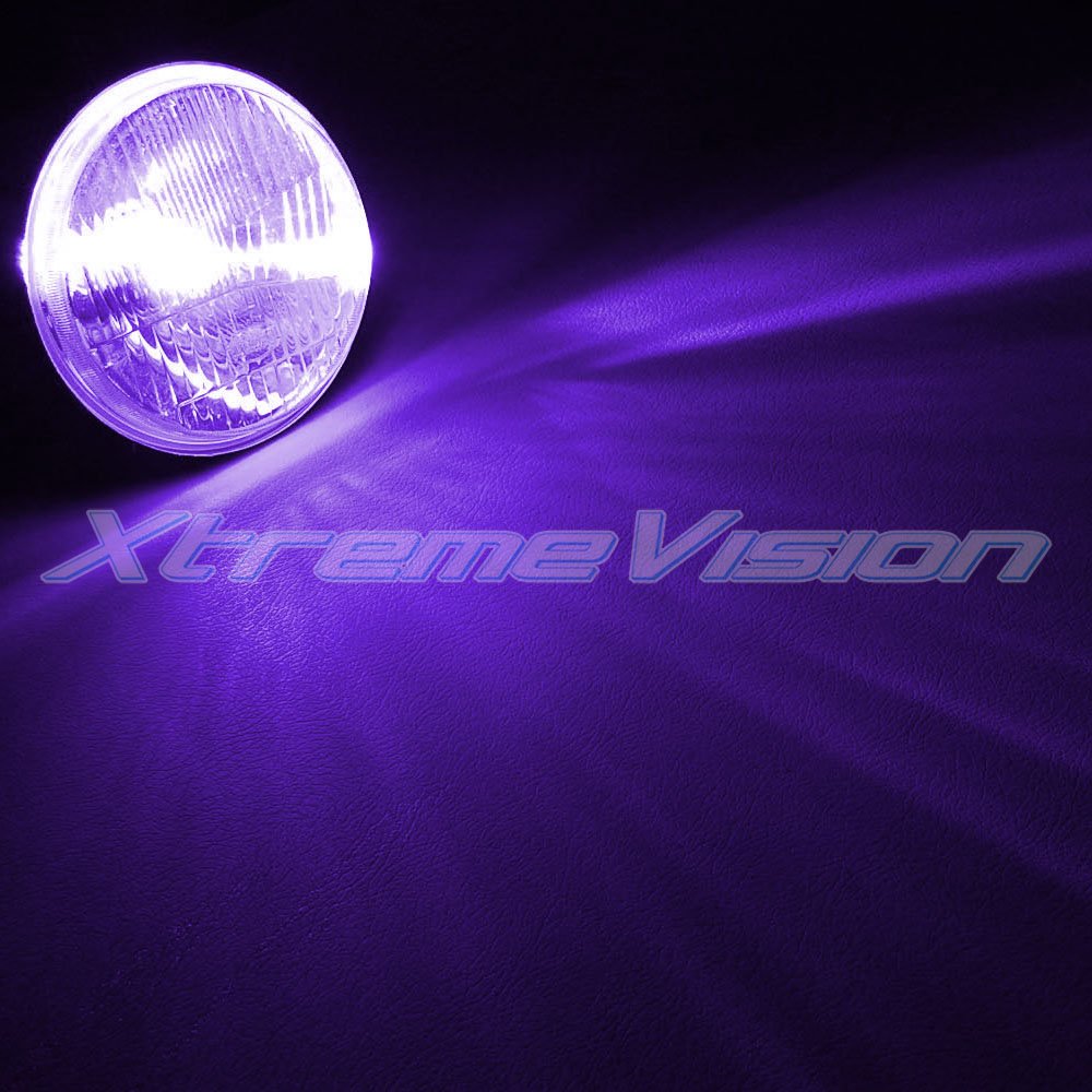 Xtremevision Hid Xenon Bulbs - H3 12000K Purple - Replacement Pair - Model Dc