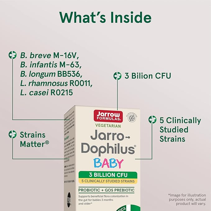 Jarrow Formulas Jarro-Dophilus Baby Probiotic + GOS Prebiotic, Dietary Supplement, Gut Support for Babies, 2.1 oz Powder, 60 Day Supply (Pack of 12)