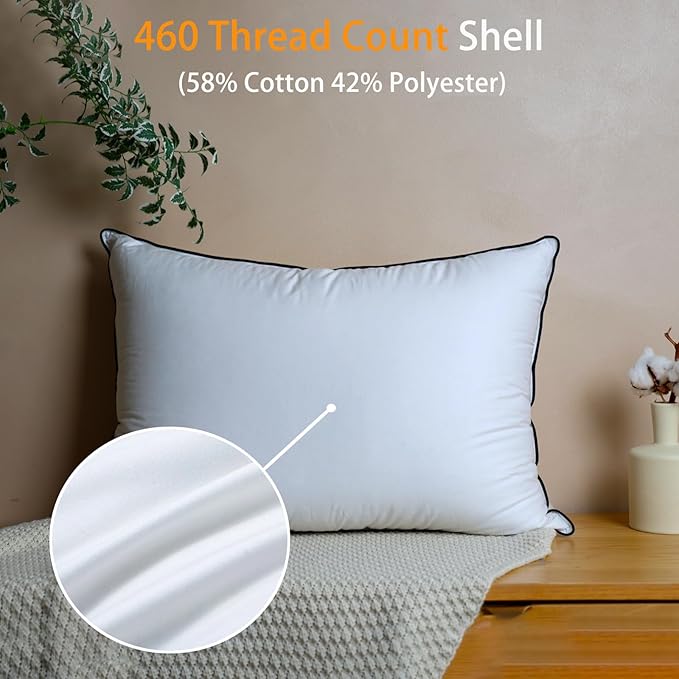 Natural Goose Down Pillows - White Down Pillow Standard Size - 550 Fill Power - Soft and Support Down Bed Pillow for Back,Side,Stomach Sleepers，1 Pack (20" x 26")