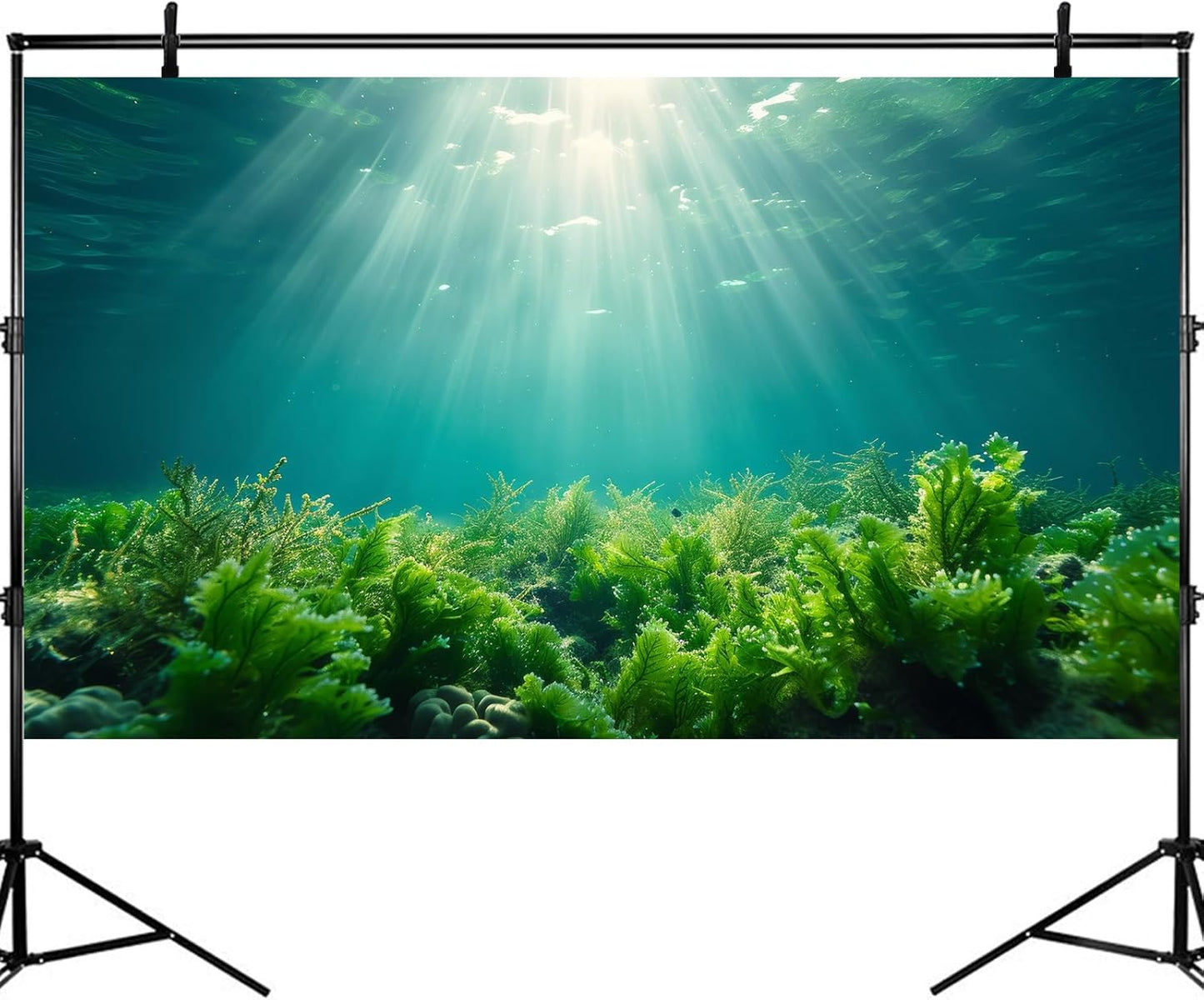 Deep Ocean Fish Tank Background Under The Sea Aquatic Plants Aquarium Background Underwater Corals Sunray Terrarium Backgrounds Tropical Fish Ocean World Aquarium Backgrounds Decorations 72x18in