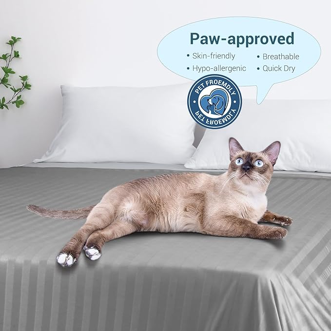 Elegear Revolutionary Cooling Throw Blanket, Absorbs Heat to Keep Body Cool for Night Sweats, Double Sided Arc-Chill3.0 Cooling Fiber Q-Max>0.5, Lightweight Summer Cold Blankets for Sleeping 51“ x 67”