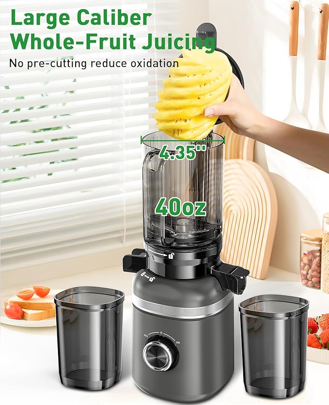 Cold Press Juicer Machines for Whole Vegetables & Fruits, Slow Masticating Juicer Maker with Wide Feed Chute, High Juice Yield, Easy to Clean, Gray