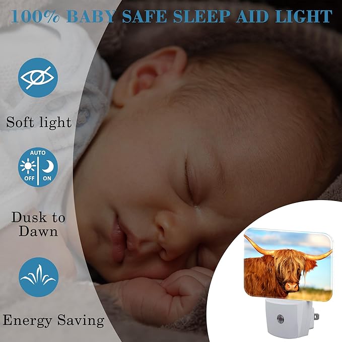 Highland Cow in Field Night Light Plug into Wall, Cool Highland Cow Night Light with Dusk to Dawn Sensor for Kid Girls Boys Women Men Bedroom, Hallway, Kitchen, Bathroom, Stairs Decor