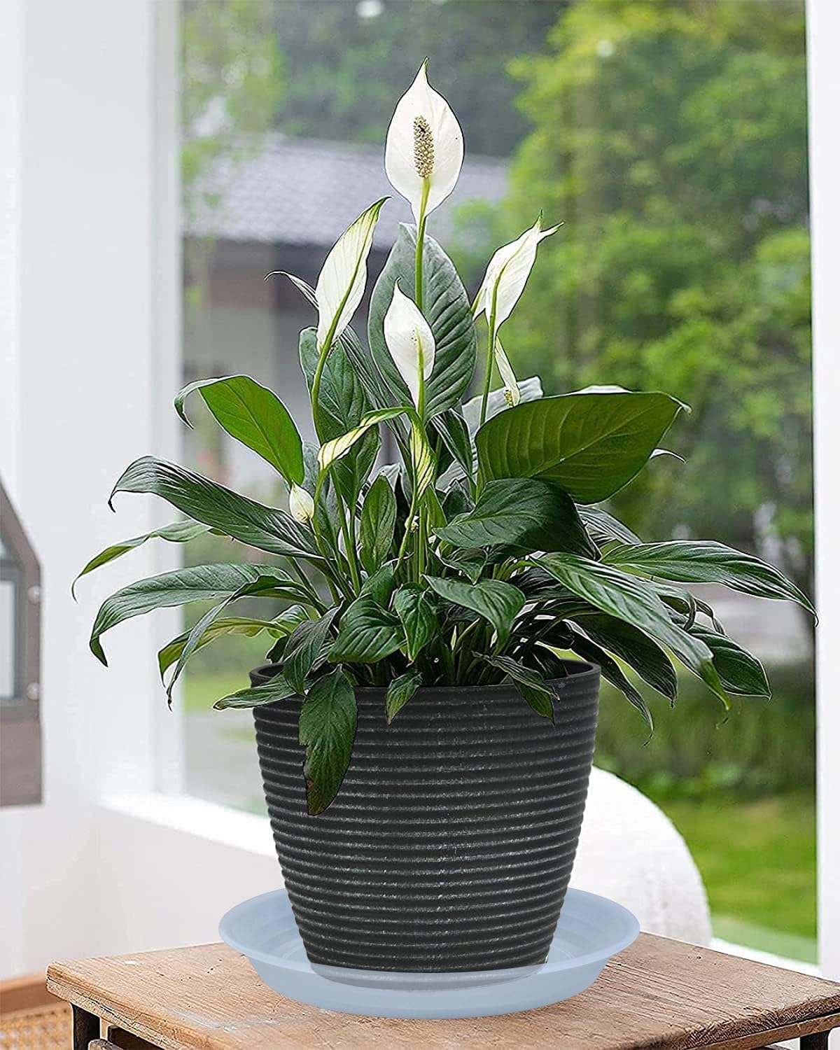 Plant Saucer Pot Tray 10 inch, 2 Packs Clear Plastic Flower Planter Saucers and Drip Trays for Indoors, Heavy Duty Plant Drip Trays Saucers, Plant Plate Water Catcher