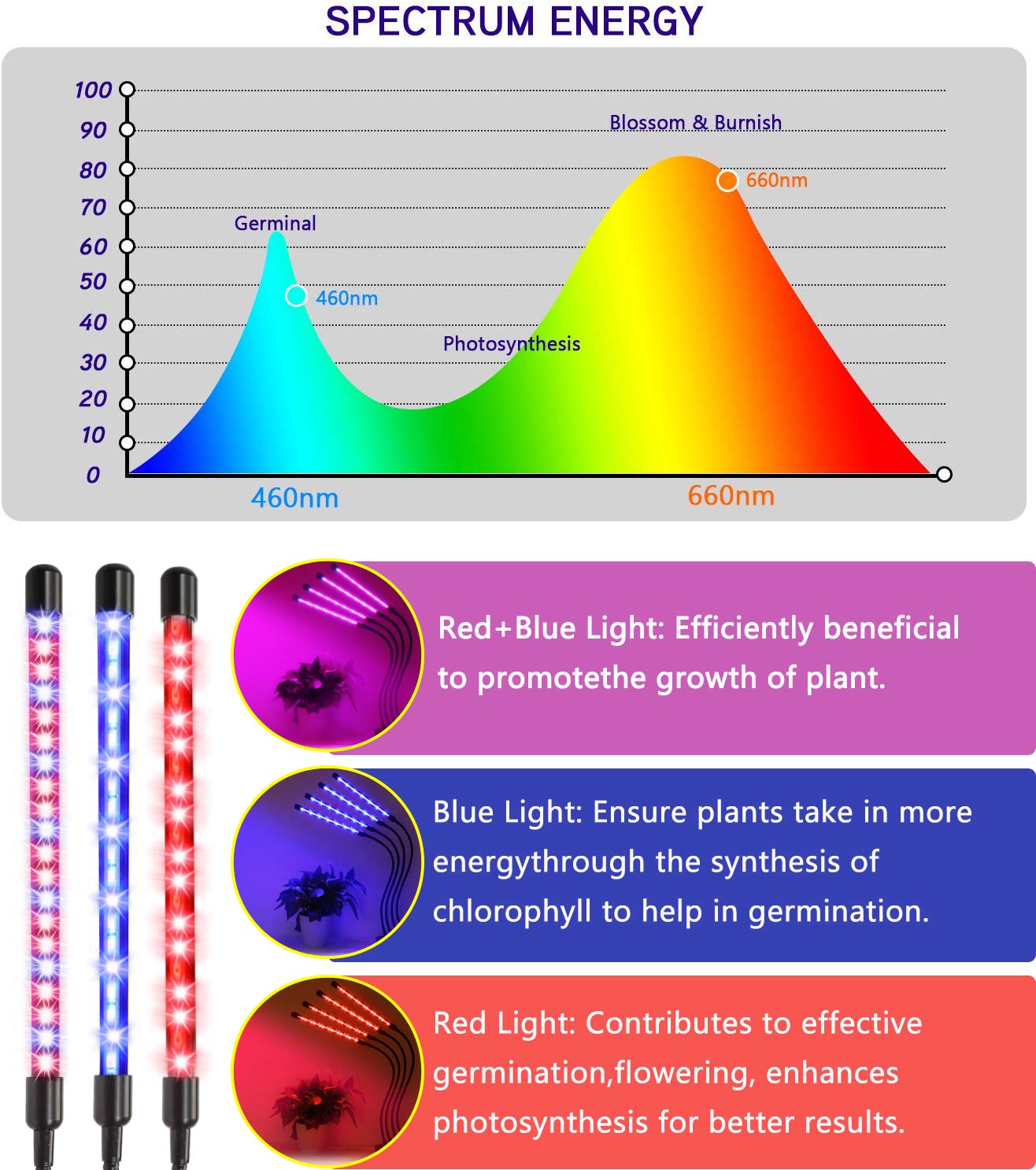 Felibeaco 80W LED Grow Light for Indoor Plants, 4 Head Full Spectrum, Auto Timer, 360° Flexible Gooseneck, Black, Clip Model