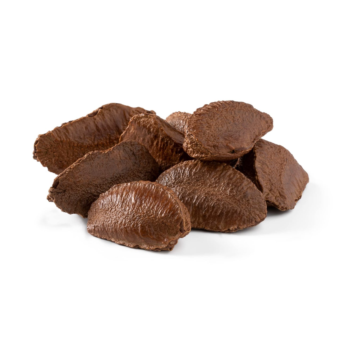 NUTS U.S. - Brazil Nuts In Shell | No Added Colors and No Artificial Flavors | Non-GMO and Natural | Fresh Buttery Taste and Raw | Pasteurized and Polished Brazil Nuts Packed In Resealable Bags!!! (6 LBS)