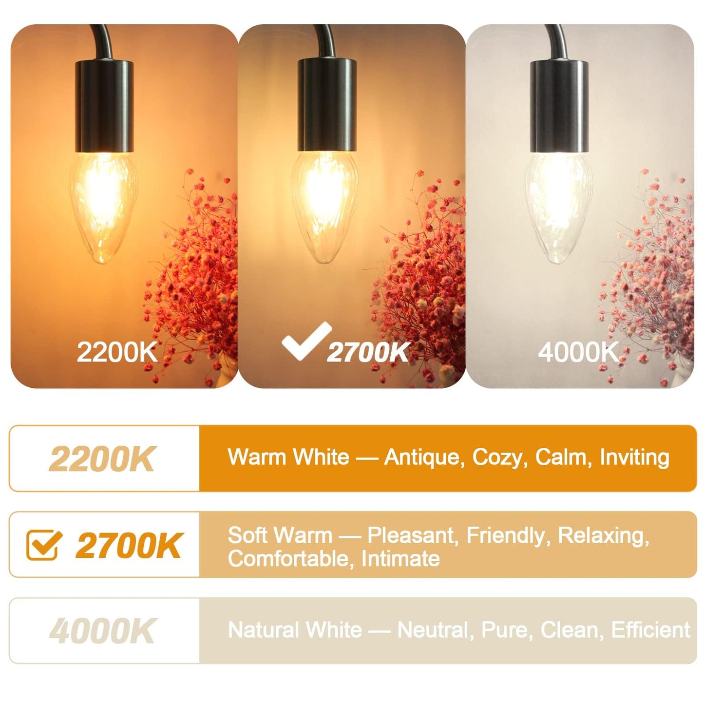 Brimax F15 6W Led Porch Light Bulbs, Dimmable 2700K Warm White, E26 Medium Base, Glass, 4Pack