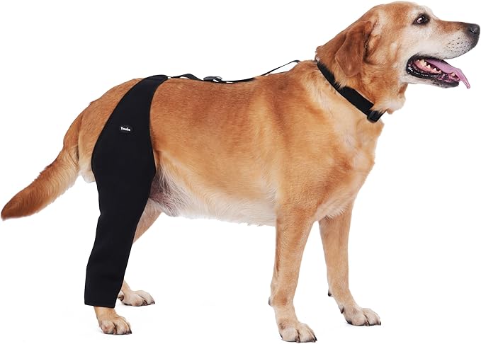 Dog Recovery Sleeve Back Leg Breathable Material,Dog Leg Sleeve to Stop Licking and Biting Firm and Secure, Adjustable Siz...
