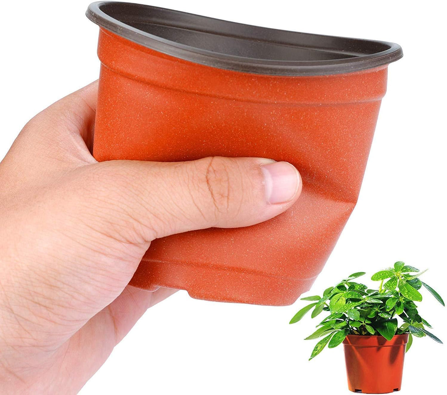 Augshy Nursery Pot, 75 Pcs 4" Plastic Nursery Seed Starting Pots Flower Plant Container for Succulent Seedling Cutting Transplanting