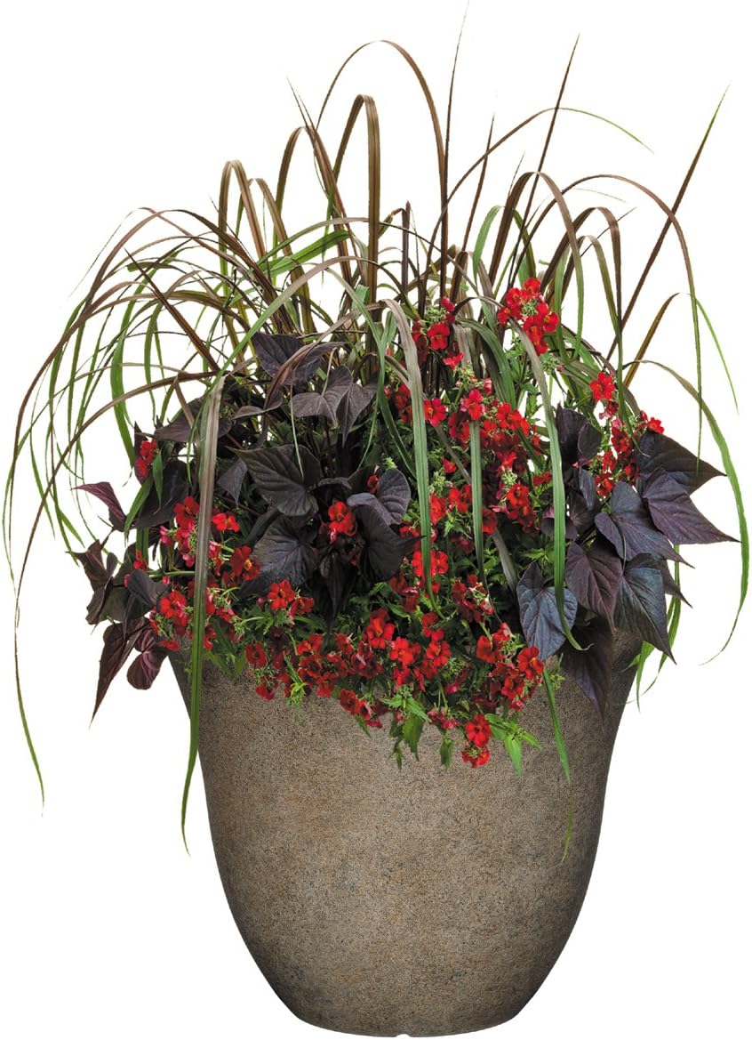 Classic Home and Garden Honeysuckle Resin Flower Pot Planter, Fossil Stone, 15" (Pack of 2)