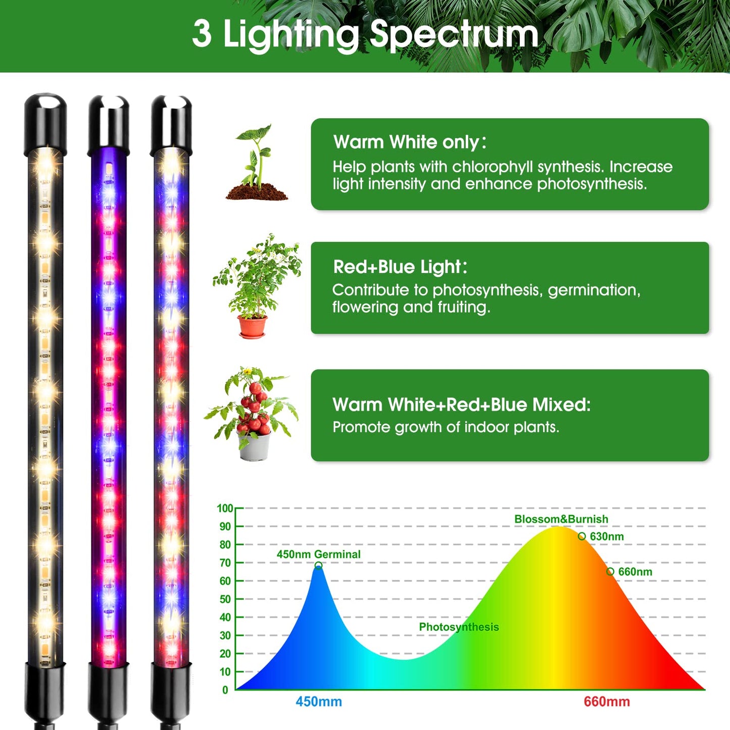 Garpsen Grow Light with Stand, 5 Heads, Full Spectrum LED, Adjustable Tripod, Model BL-C100G, Color A-Red Blue