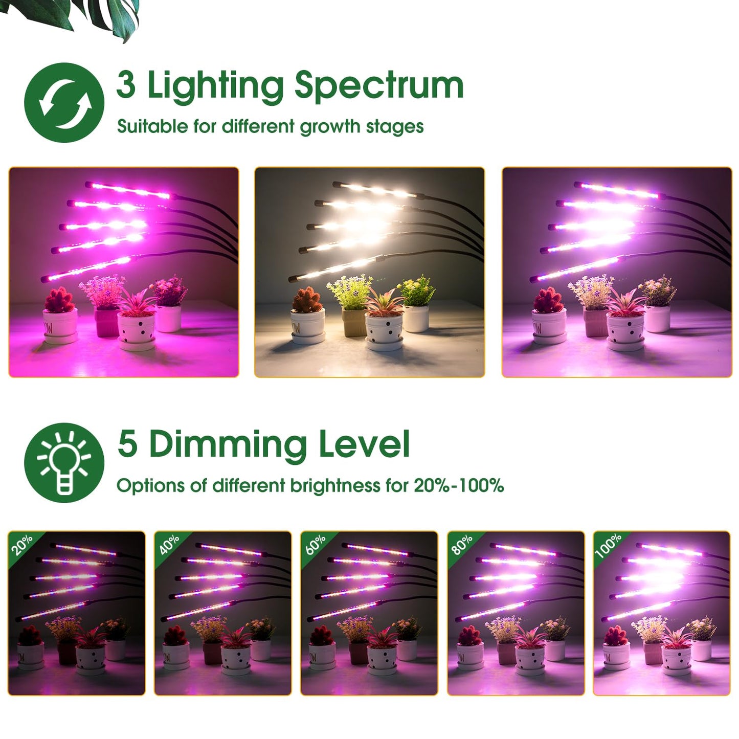 Wolezek Grow Lights for Indoor Plants, 5-Head LED, Adjustable Stand, 2 Pack, Full Spectrum, Red & Blue, Model BL-C100G