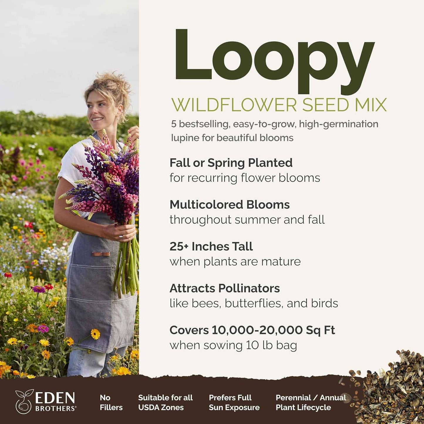 Eden Brothers Lupine Flower Mixed Seeds for Planting, 10 lb, 4,800,000+ Seeds with Russell, Arroyo, Yellow, Sky Lupine | Attracts Pollinators, Plant in Spring or Fall, Zones 3, 4, 5, 6, 7, 8, 9, 10