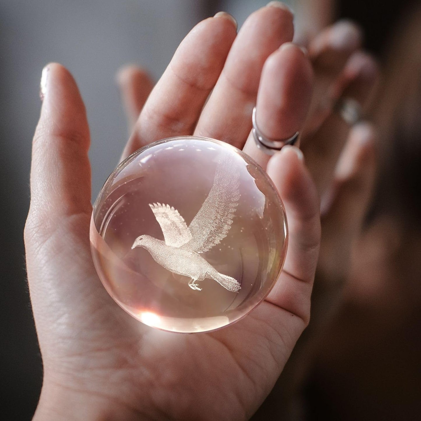 Flexzion 3D Bird Crystal Ball Night Light - Led Light Hologram Glass Lamp W/Solid Wood Base  Usb Powered Crystal Ball Lamp W/Adjustable Brightness For Home Decor Display Gift  3.15 Inch (80Mm)