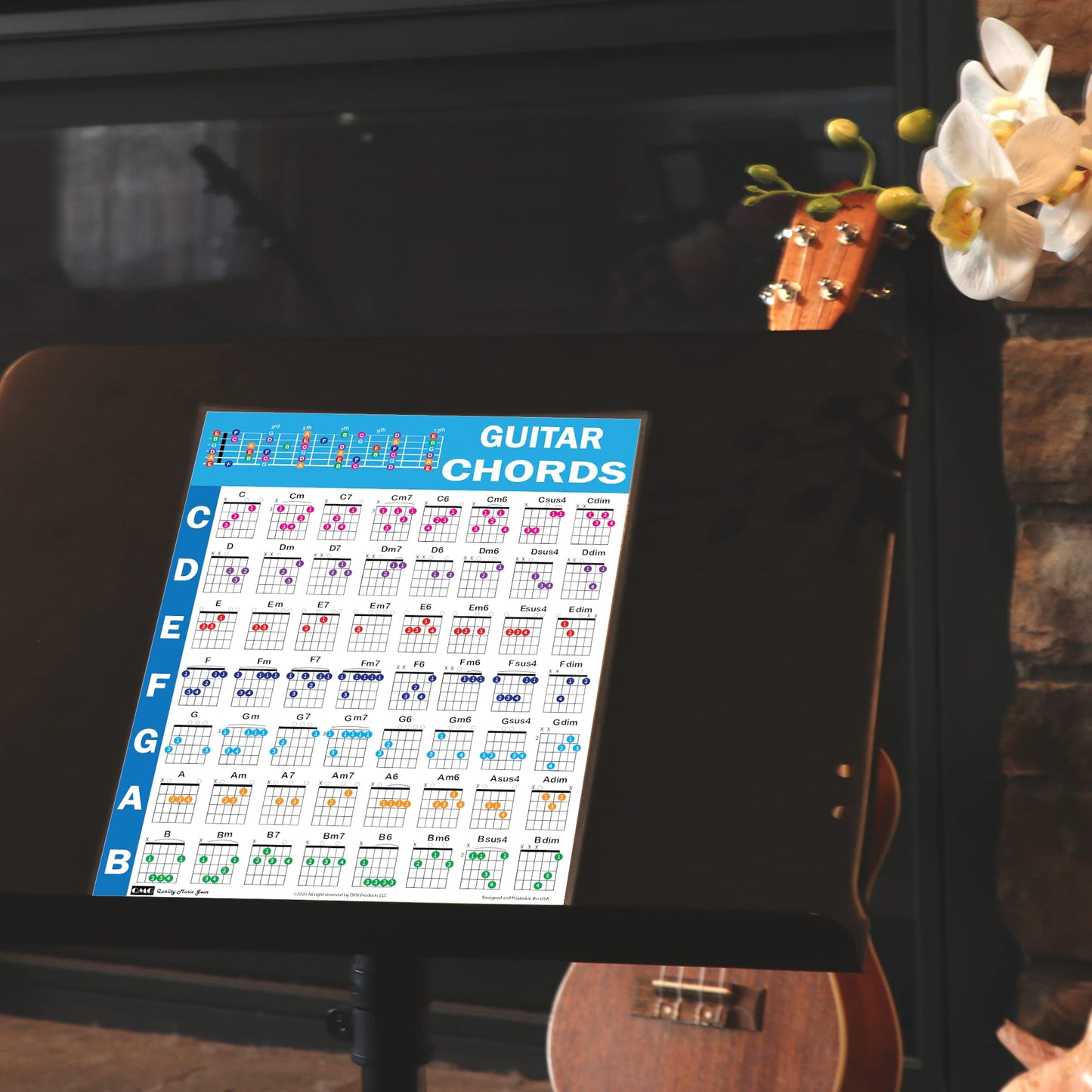 QMG Guitar Chords Cheatsheet – Laminated A4 Music Theory Chart with Circle of Fifths for Beginners