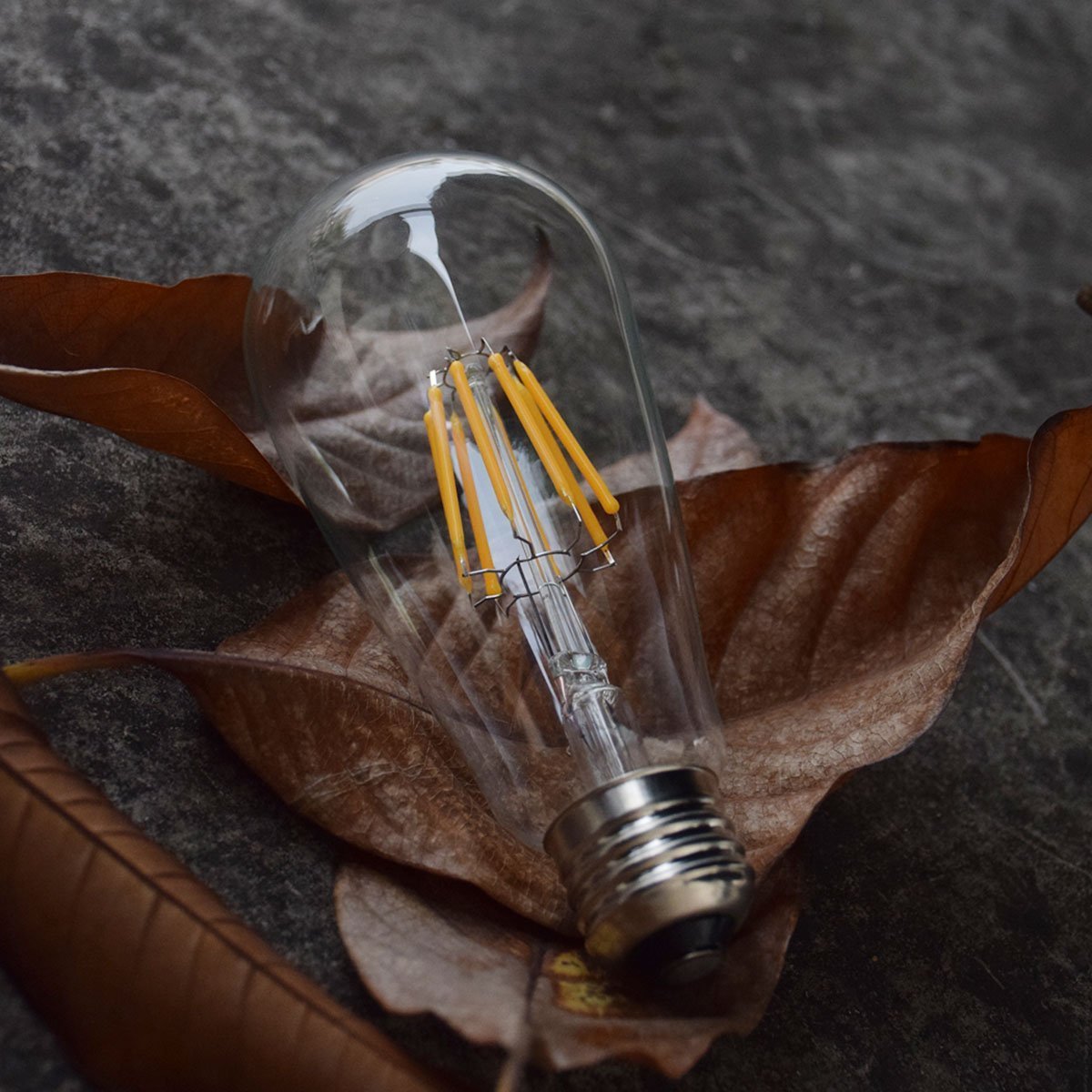 Notoc Led Edison Bulb - Antique 40W Non-Dimmable Light Bulb, 450 Lumens, Daylight White 5500K, Pack Of 3, Glass Material
