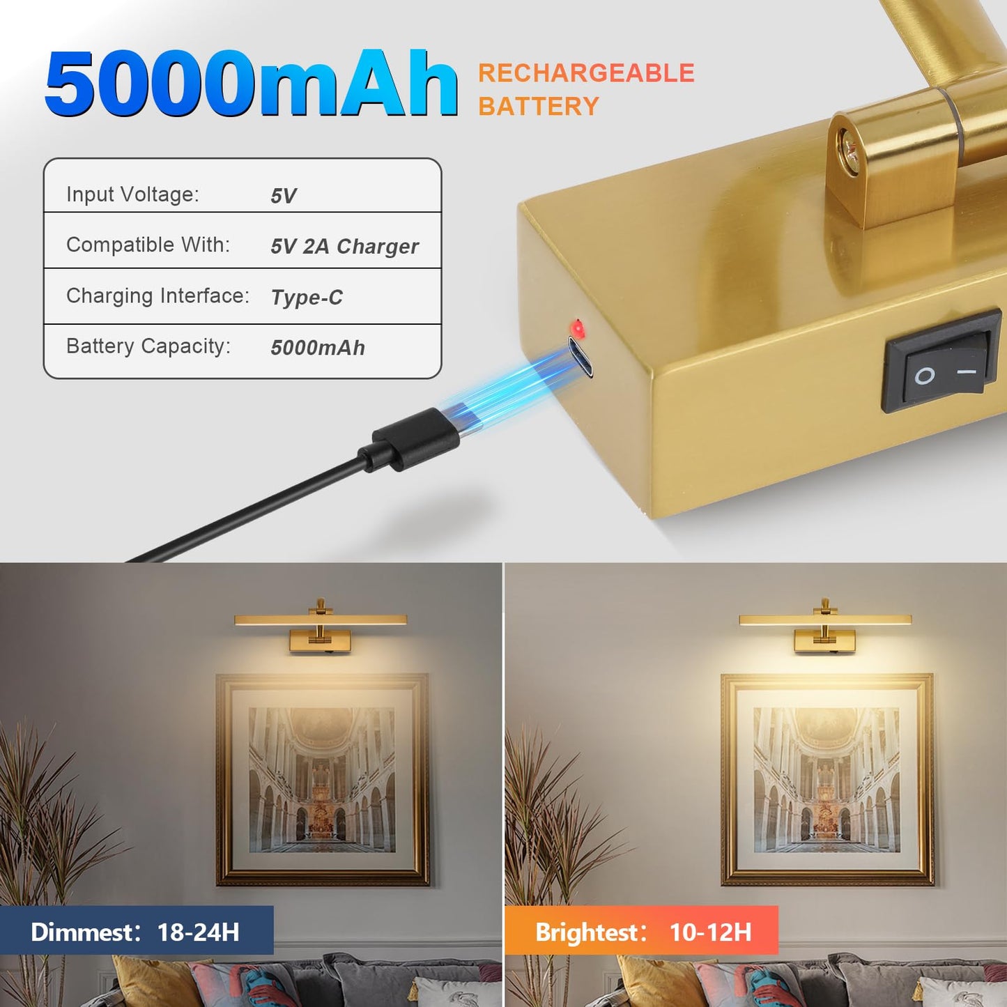Desoop Picture Lights For Wall Battery Operated  Brass Art Lighting For discomfort-reducingtings With Remote And Timer  Wireless Gallery Light For Portrait Frame Artwork  16 Inch 3Cct Dimmable
