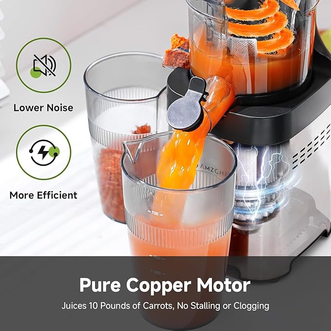 AMZCHEF Cold Press Juicer, Juicers Machines - Wide Mouth & Large Feed Chute for Whole Fruits & Vegetables, Stainless Steel Slow Masticating Juice Easy to Clean, Large Auger, Double Strainers