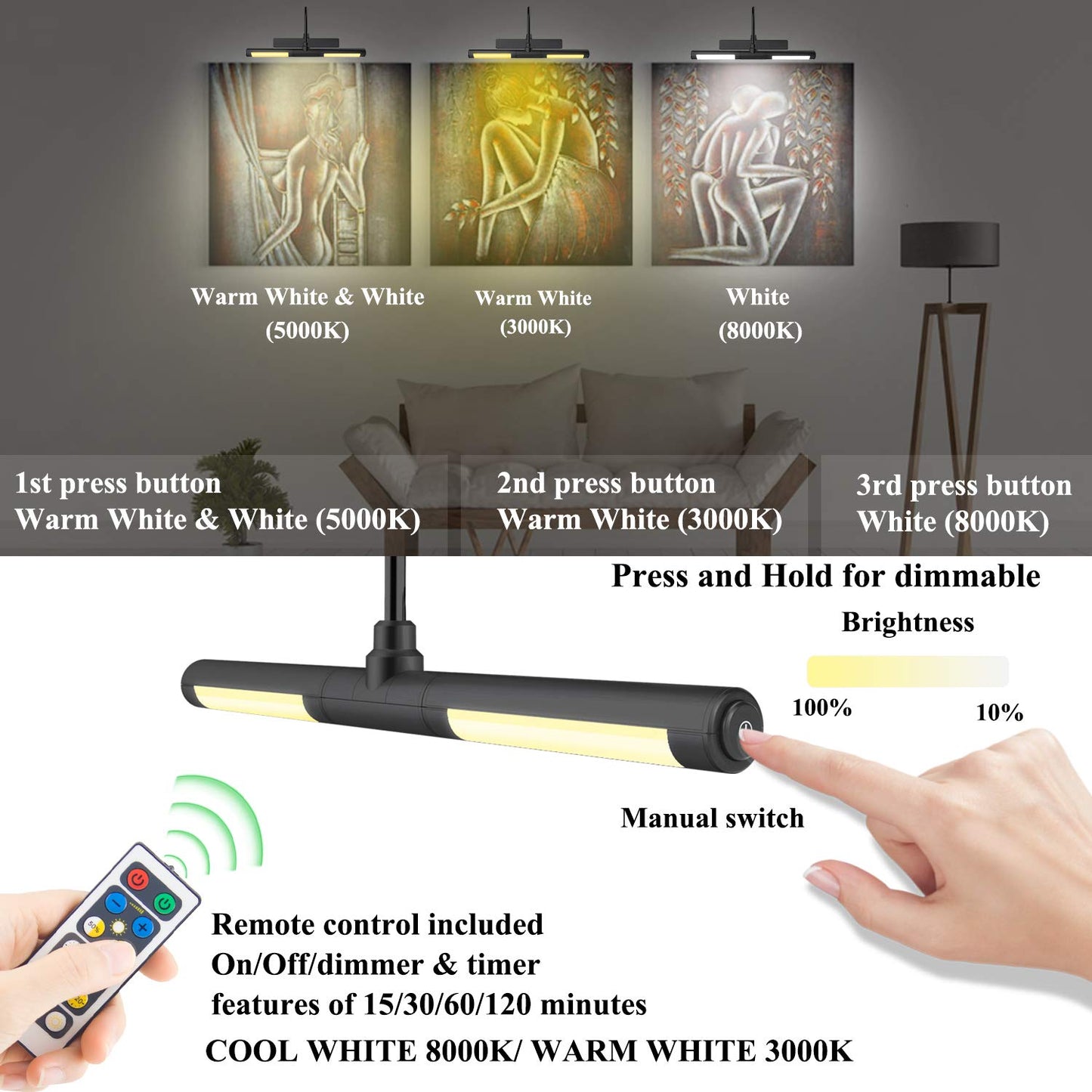 Bigmonat Rechargeable Picture Light, 13 Dimmable Wireless Art Lamp, Black, Model B603-Black, Battery Operated With Remote