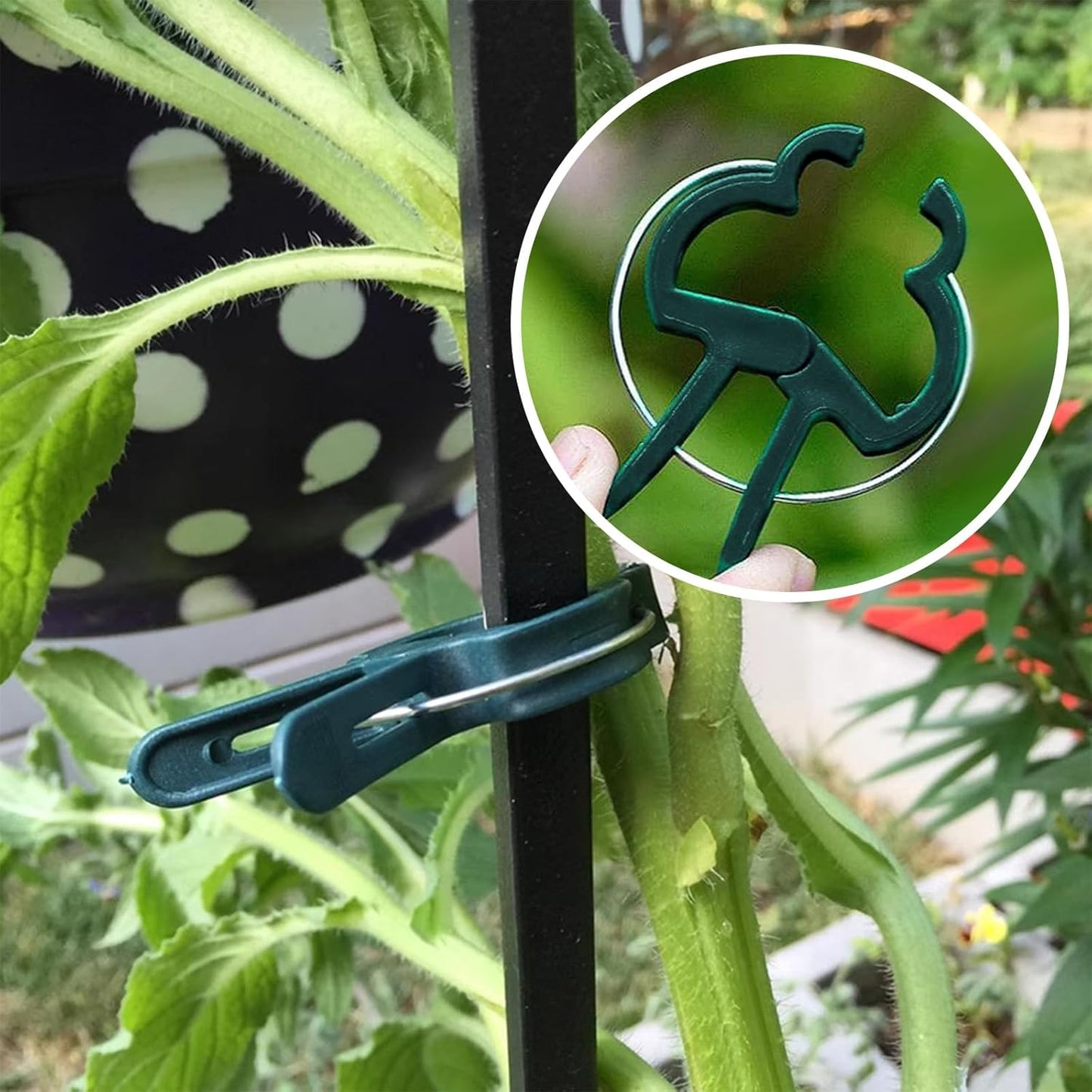 Plant Clips for Climbing Plants, Tomato Clips and Garden Clips for Vine Support, Plant Support Clips for Tomatoes and Garden use(Green, 60 Small)