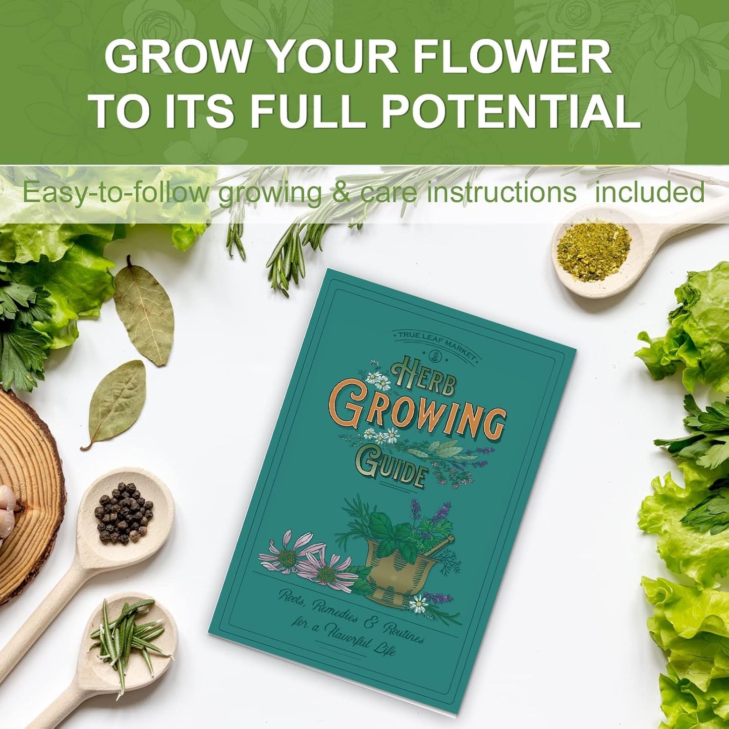 Indoor Herb Garden Starter Kit, 5 Non-GMO Herb Seeds - Basil, Parsley, Rosemary, Thyme, and Mint with Complete Planting Set for Kitchen Herb Garden DIY