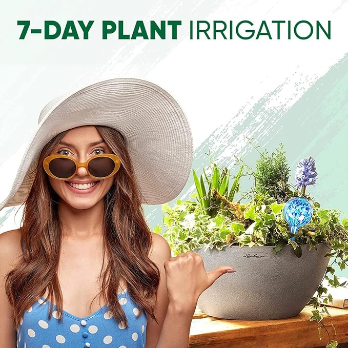 Plant Watering Globes Set of 6 - Large Self Watering Globes for Indoor & Outdoor Plants - Multicolored, Automatic, Glass Watering Bulbs for Daily Use, Plant Watering Devices