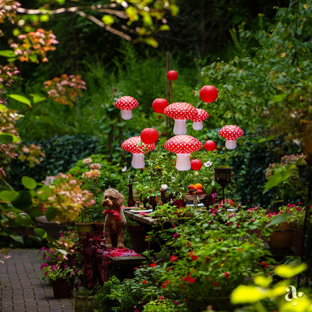 Avoseta Mushroom Paper Lanterns, 12 pcs, Red and White, Large Decorations for Fairy Tea Party and Garden Party, Model: avoseta-lanterns-mushroom