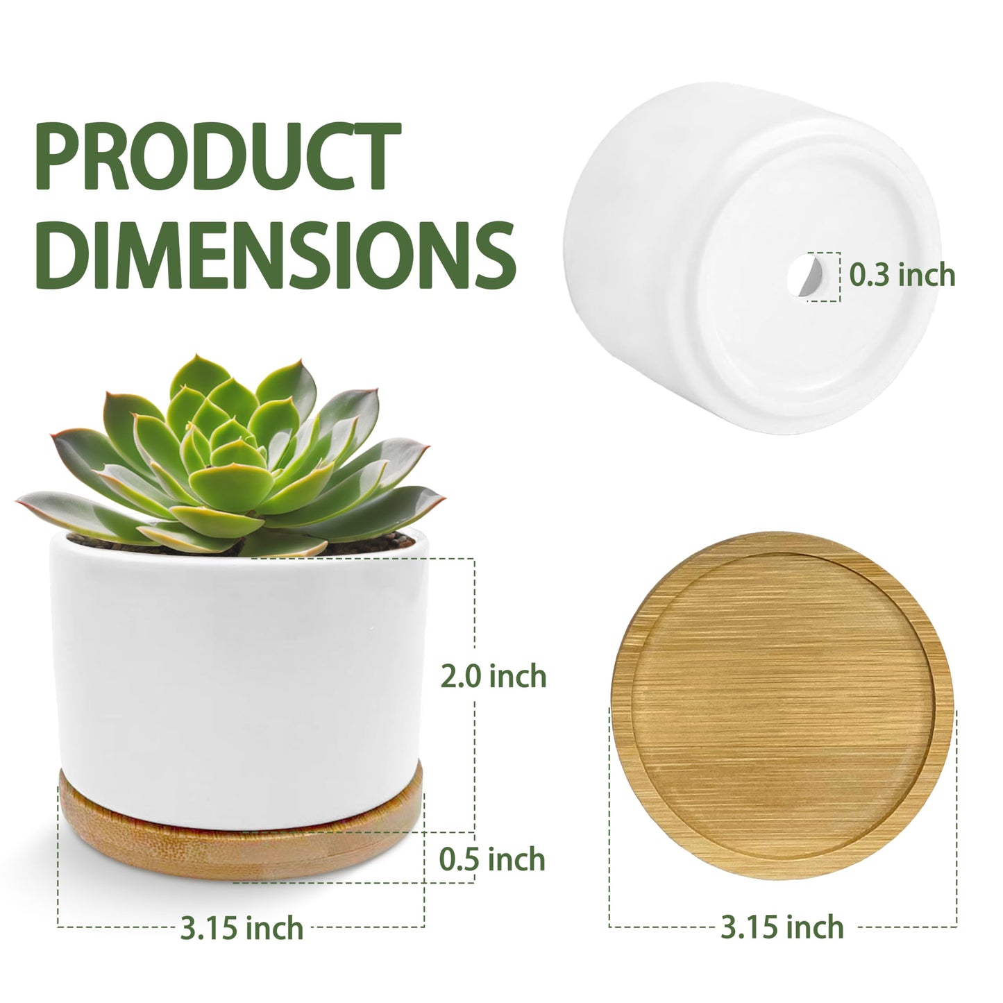 EVIHCG Funny Gifts Planter Pots, Sarcastic Gifts for Women Men, I Don't Always Whoop Humorous Ceramic Succulent Plant Flower Planters for Home Office Desk Table Shelf(No Plants)