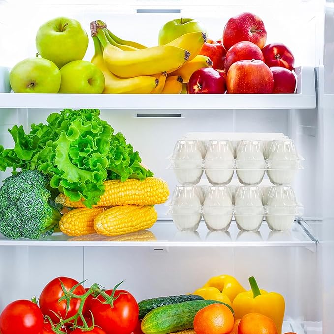 50 Pack Large Plastic Egg Cartons - 1 Dozen Clear Duck Egg Tray - Reusable Egg Storage Holder for Refrigerator, Family Pasture, Duck Farm, Market Display