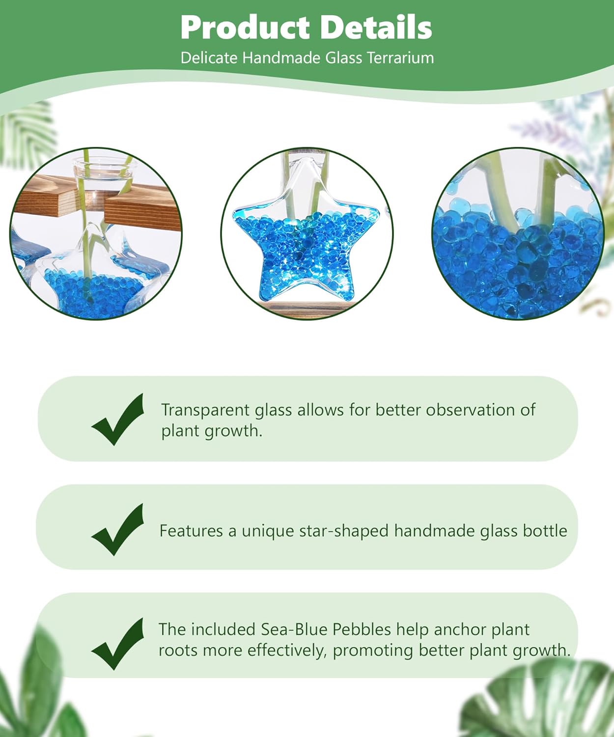 Nacome Plant Terrarium with Wooden Stand,Star-Shaped Planter Propagation Station Glass Vase for Home Office Decor- Unique Gifts for Plant Lovers Women Mom