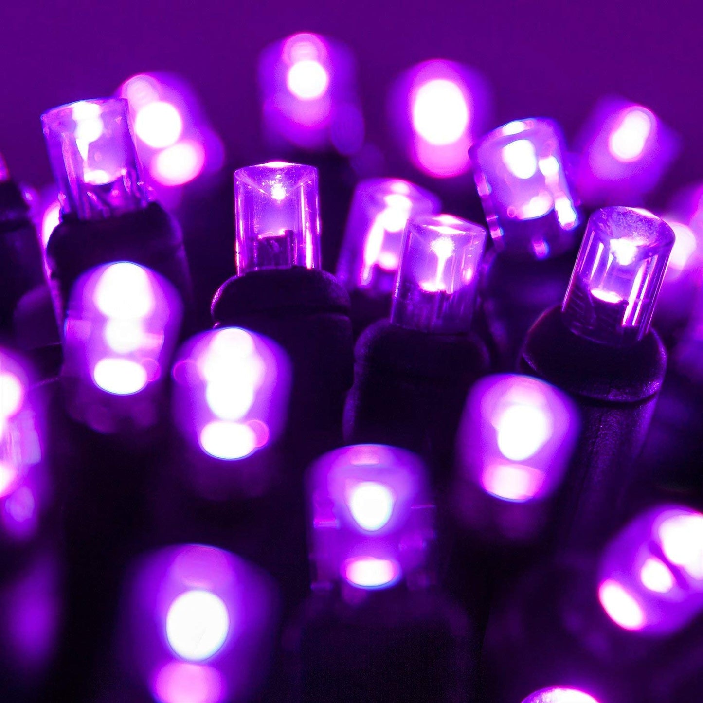 Wintergreen Lighting LED Mini Light Set, 70 Purple Lights, 24 ft, Indoor/Outdoor, 120V UL Certified, Model IOS-2-35-2