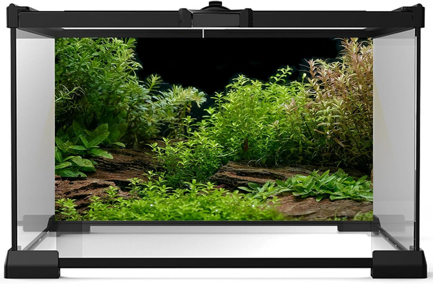 Aquarium Background Underwater Green Grass Leaves Stone Fish Tank Background Vivid Fresh Green Aquatic Plant Stone River Bed Terrarium Backdrop 36x18in