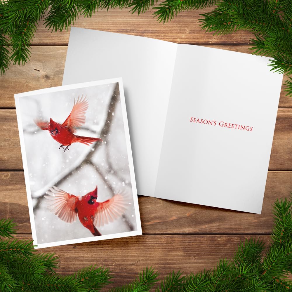 Photographic Season’s Greetings Cards, Northern Cardinals (6 Cards with White Envelopes)
