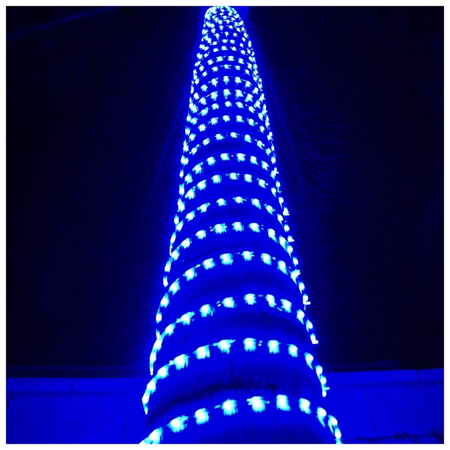 Russell Decor LED Rope Lights - 30ft Blue PVC for Holiday Party and Christmas Decoration