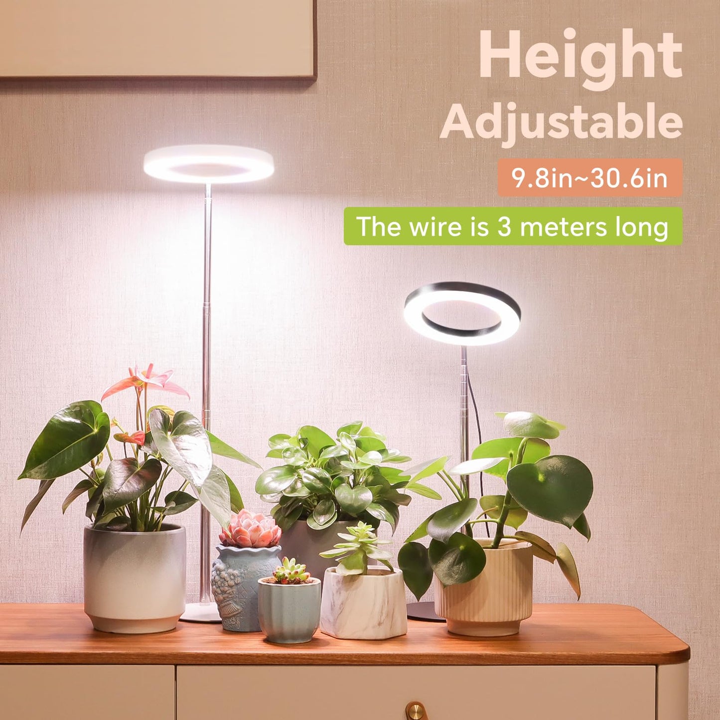 Gtruiidy Desktop Grow Light  Height Adjustable Grow Lights For Indoor Plants Full Spectrum  3 Lighting Mode  Halo Grow Light With Timer  Plant Lights For Indoor Growing (Black)