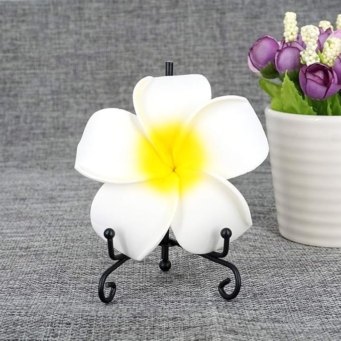 LIONWEI LIONWELI 4 Inch Black Iron Plate Stand Holder Easel Display Stand for Plate?Picture?Photo and More,4 pcs.