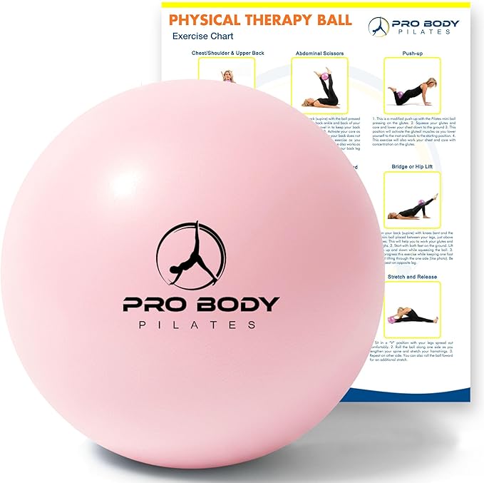 ProBody Pilates Exercise Balls Physical Therapy - 9 Inch Small Exercise Ball for Between Knees for Rehab, Barre, Core, Sta...