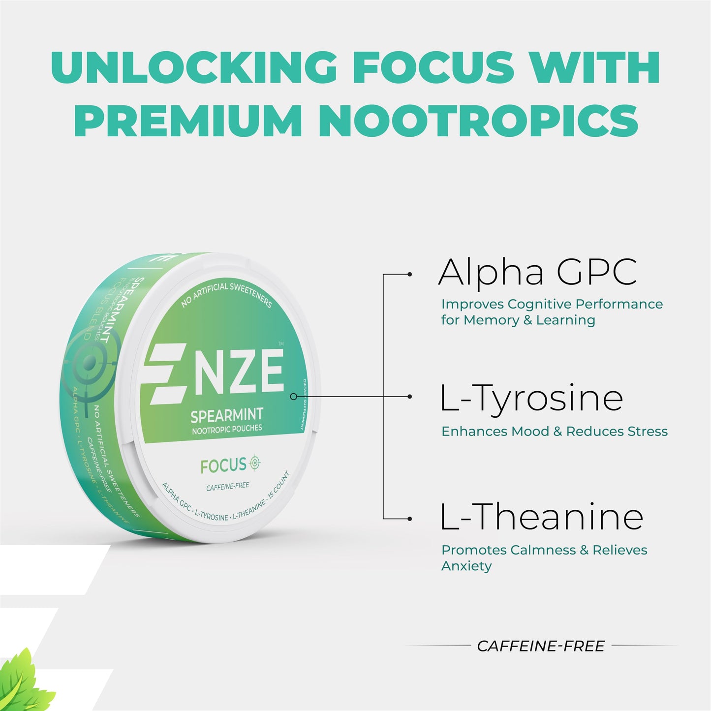 NZE Caffeine Free Nootropic Pouches (Spearmint) - Nootropic Pouches with Alpha GPC, L-Tyrosine & L-Theanine - No Sugar or Artificial Sweeteners - 15 Nicotine Free Pouches Per Can - 5 Pack