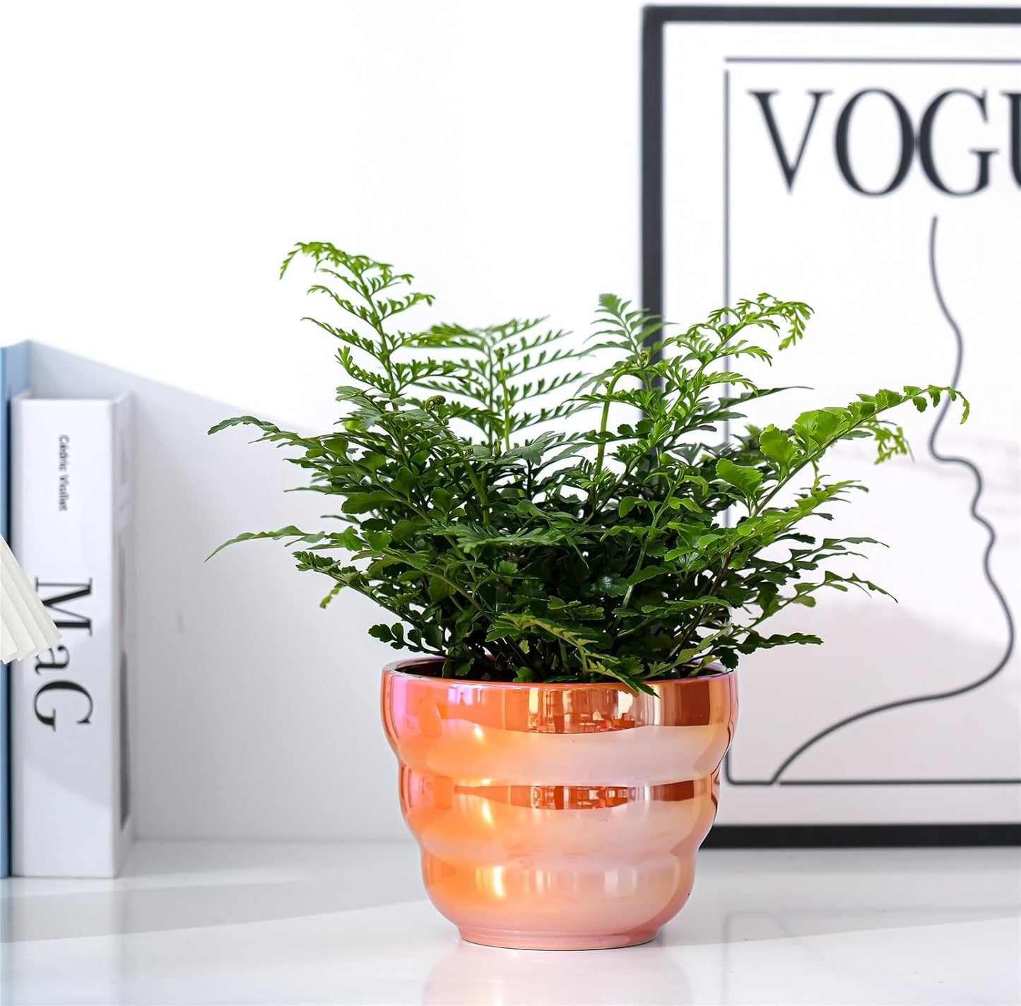 Plant Pots Indoor, 6 Inch Ceramic Rainbow Pearl Glaze Planters with Drainage Hole, Set of 2 Flower Pots for Succulents Cactus Orchid, Black and Orange