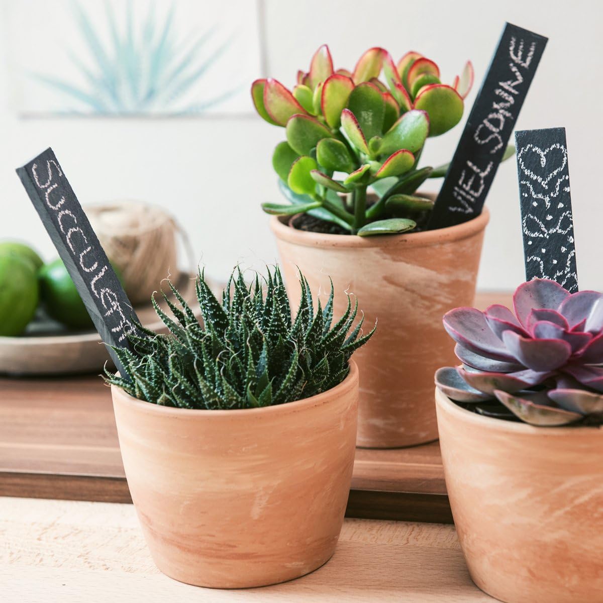 Navaris Slate Garden Labels - 10 Natural Slate Plant Labels for Outdoor Plants, Plant Name Sticks, Herb Labels for Garden - Greenhouse Accessories (Pack of 2)