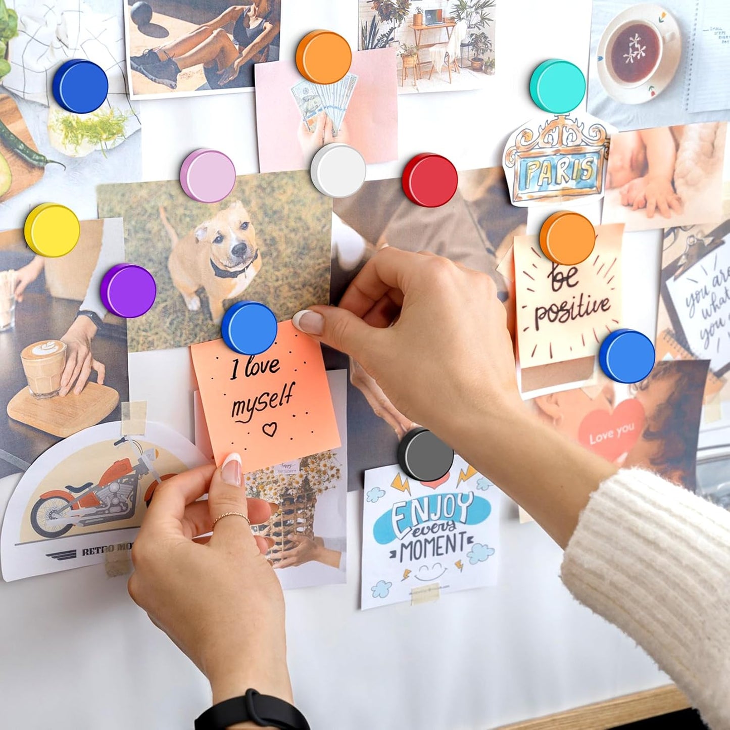 FINDMAG Colorful Fridge Magnets, 30 Pack Round Refrigerator Magnets, Dry Erase Board Magnets for Whiteboard, Decorative Magnet, Small Colorful Whiteboard Magnet, 10 Colors