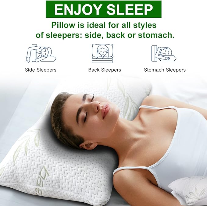 JJDANFILL Rayon Derived from Bamboo Pillow for Sleeping, Shredded Memory Foam Pillow Queen Size Set of 2, Adjustable Cooling Bed Pillow for Side Back Stomach Sleeper with A Washable Cover 20x30
