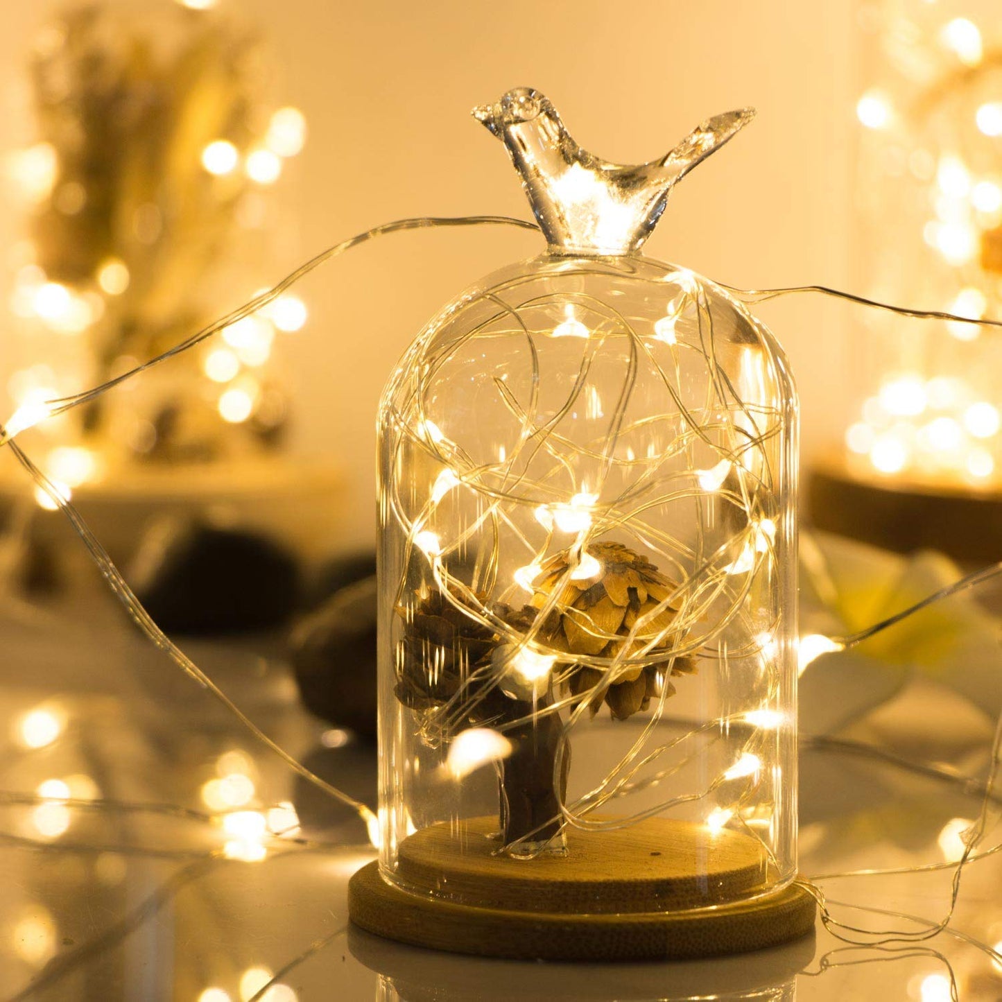 ANJAYLIA Fairy Lights, 10ft 30 LED Mini String Lights, Battery Operated, Warm White, 2 Pack, Copper Material