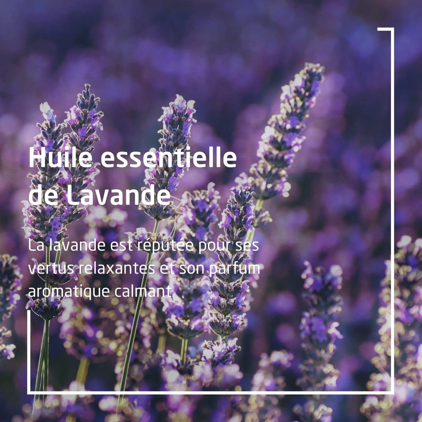 WELEDA Lavender Bath Milk, 200 ML