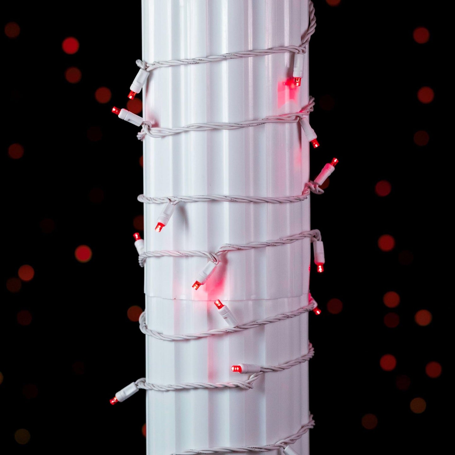 Novelty Lights 50 Light LED Christmas Mini Light Set, 25 Feet, Red, Copper, Model CGWA50-W-RE