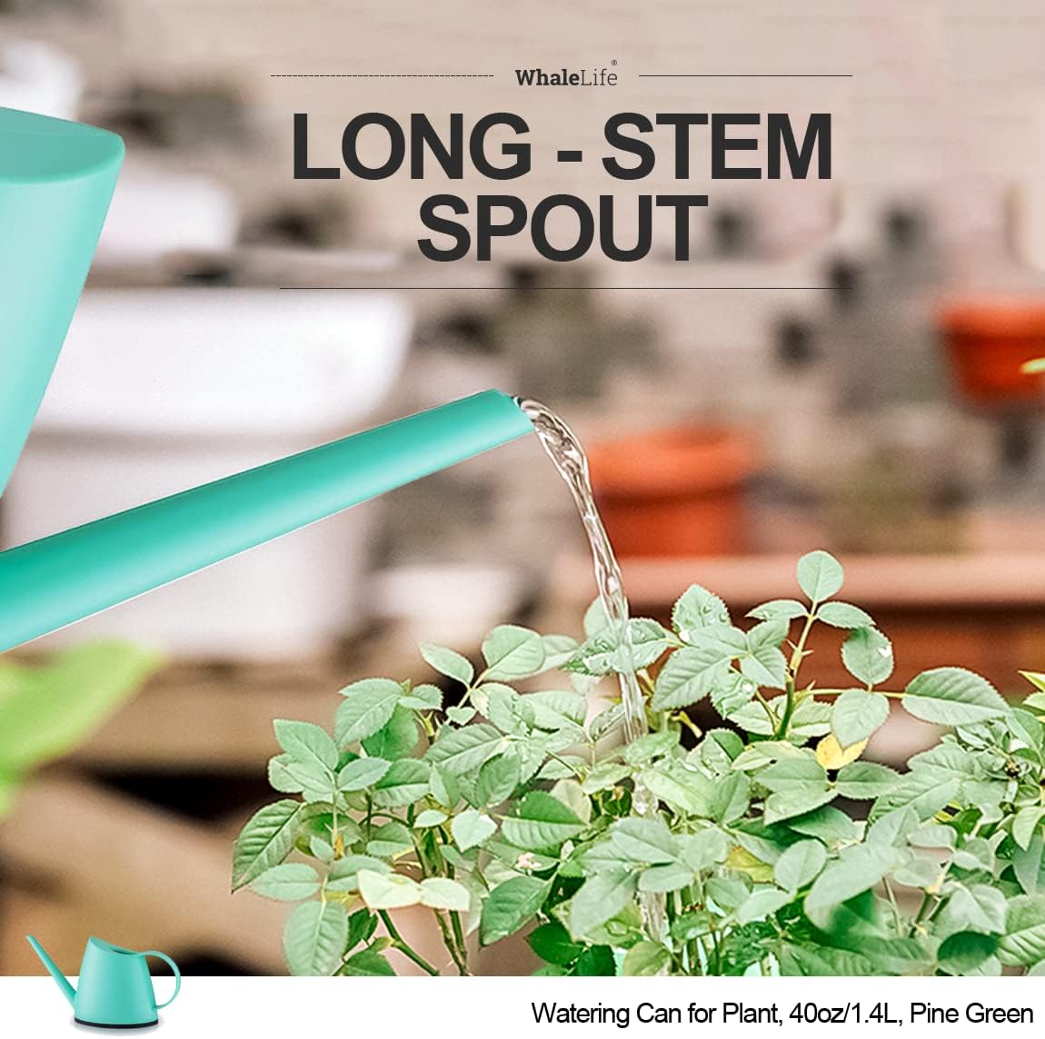 WhaleLife Indoor Watering Can for House Bonsai Plants (1.4L, Pine Green)