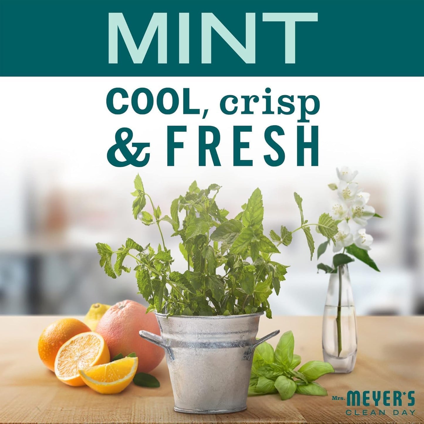 MRS. MEYER'S CLEAN DAY Liquid Dish Soap, Biodegradable Formula, Limited Edition Mint, 16 fl. oz - Pack of 3